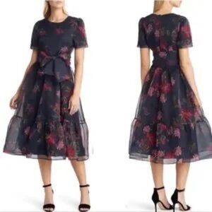 Rachel Parcell Tulle dress